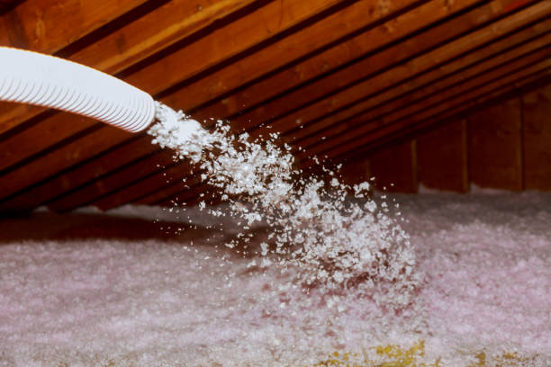Best Residential Insulation in South Cleveland, TN
