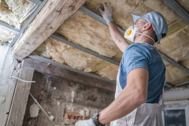 Best Blown-in Insulation in South Cleveland, TN
