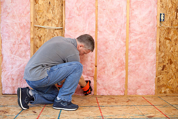 Best Eco-Friendly Insulation in South Cleveland, TN